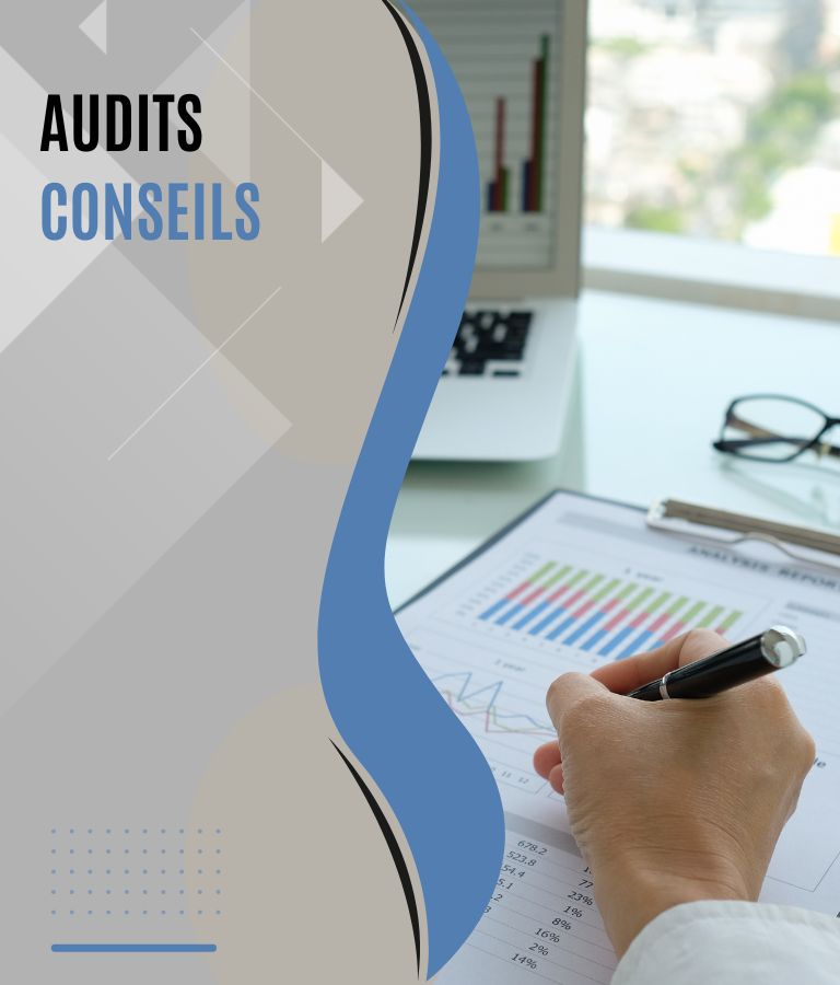 audits et conseils